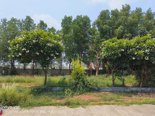 Land for sale in Madya