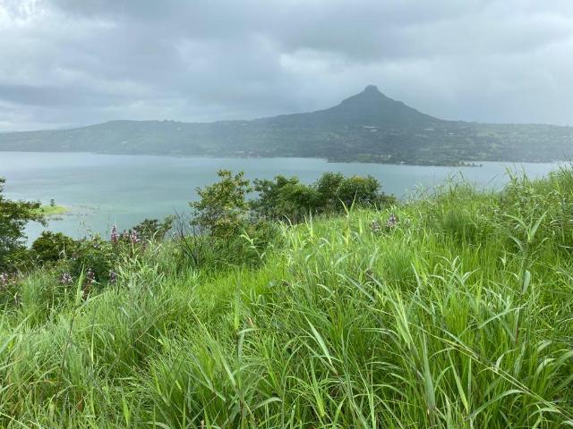 Land for sale in Poona, National Capital Territory Of Delhi