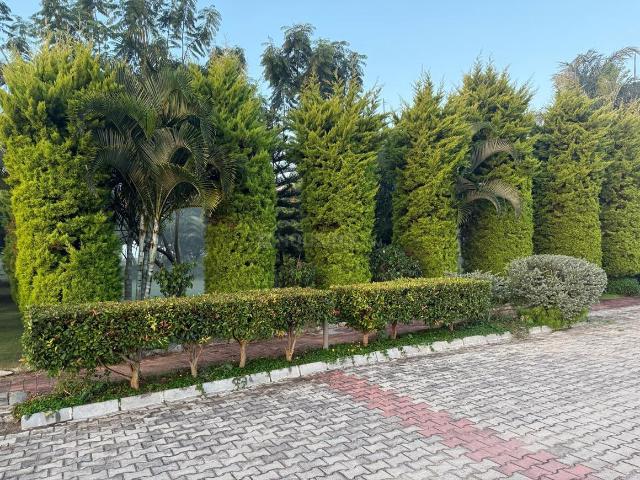 Land for sale in Bangarapete, Kolar