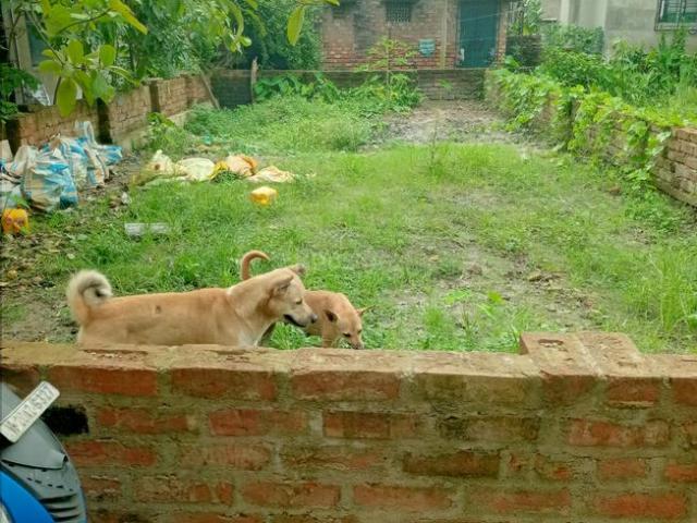 Land for sale in Rajpur Sonarpur, South 24 Parganas