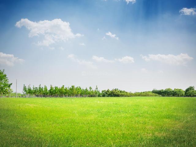 Land for sale in Banur, Punjab