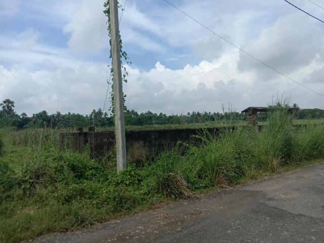 Land for sale in South 24 Parganas, West Bengal