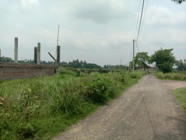 Land for sale in South 24 Parganas, Parbatipur