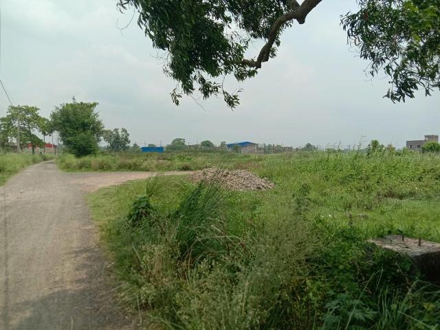 Land for sale in South 24 Parganas, Parbatipur