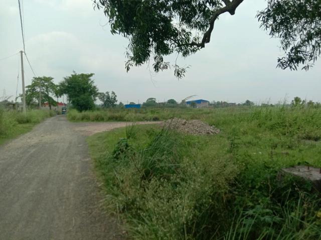 Land for sale in South 24 Parganas, Parbatipur