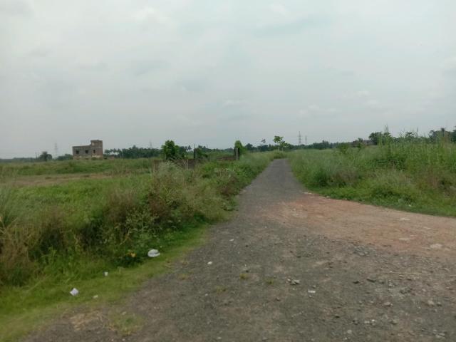 Land for sale in South 24 Parganas, Parbatipur