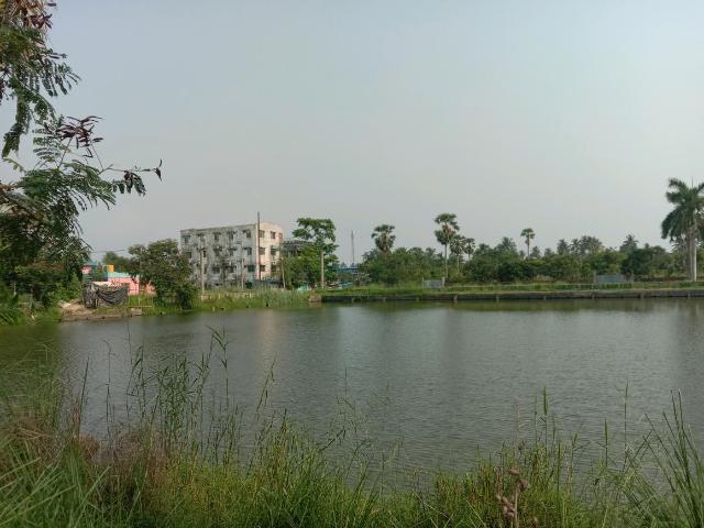 Land for sale in South 24 Parganas, Parbatipur