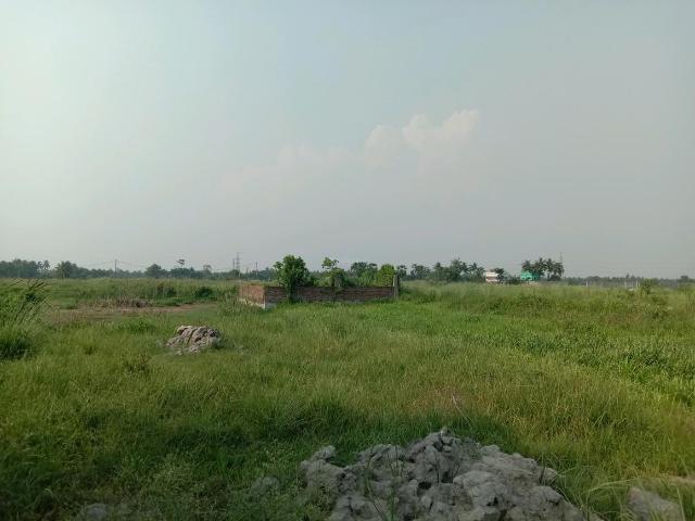 Land for sale in South 24 Parganas, Parbatipur