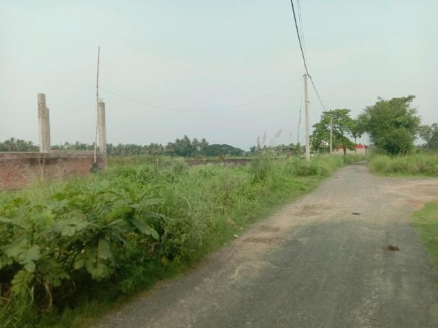 Land for sale in South 24 Parganas, Parbatipur