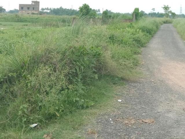 Land for sale in South 24 Parganas, Parbatipur