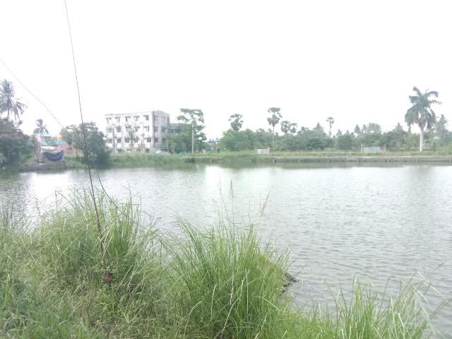 Land for sale in South 24 Parganas, West Bengal