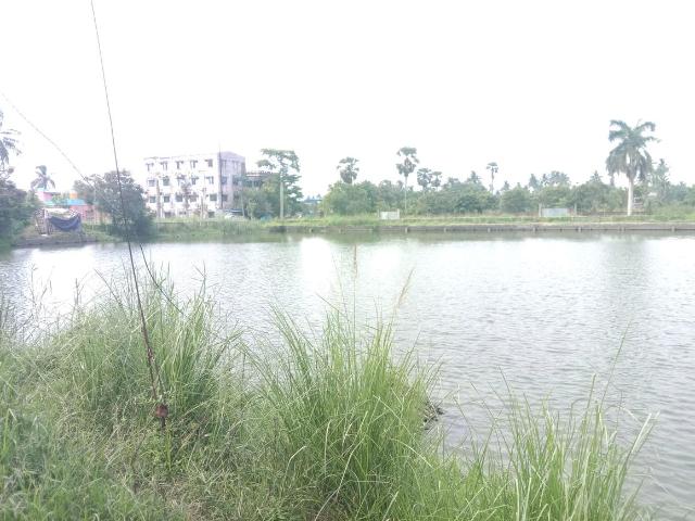 Land for sale in South 24 Parganas, West Bengal