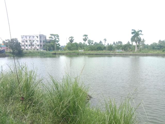 Land for sale in South 24 Parganas, West Bengal