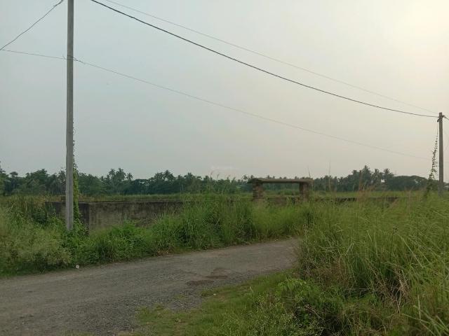 Land for sale in South 24 Parganas, Parbatipur