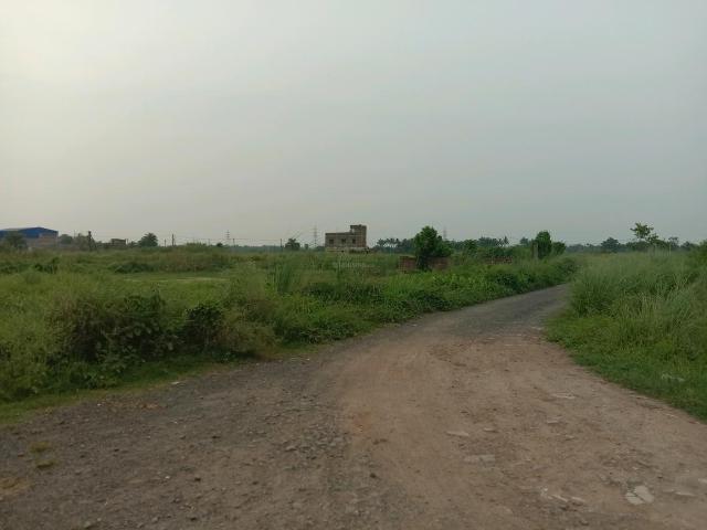 Land for sale in South 24 Parganas, Parbatipur