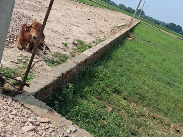 Land for sale in Varanasi, Arunachal Pradesh