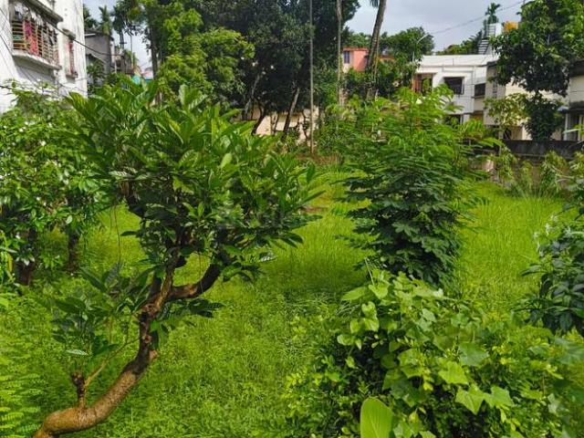 Land for sale in North 24 Parganas, West Bengal