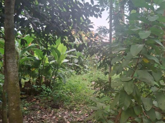 Land for sale in Champadali, Barasat