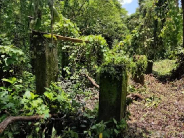 Land for sale in Colvale, Goa