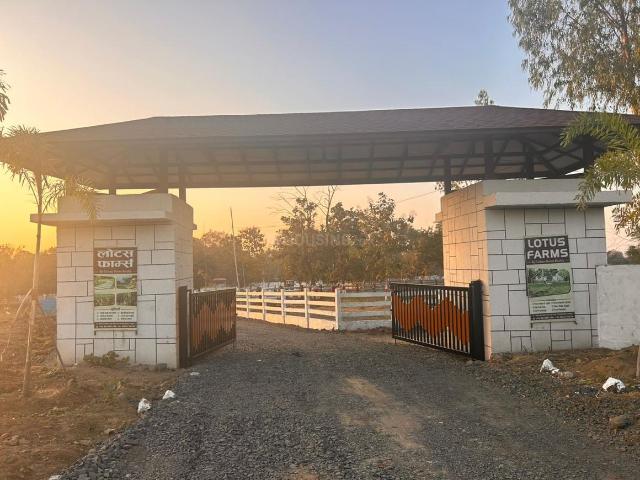 Land for sale in Pindari, Pindrai