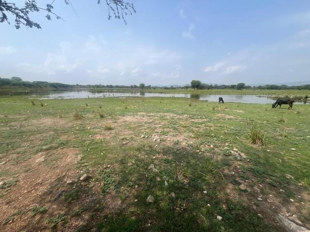 Land for sale in Rajasthan