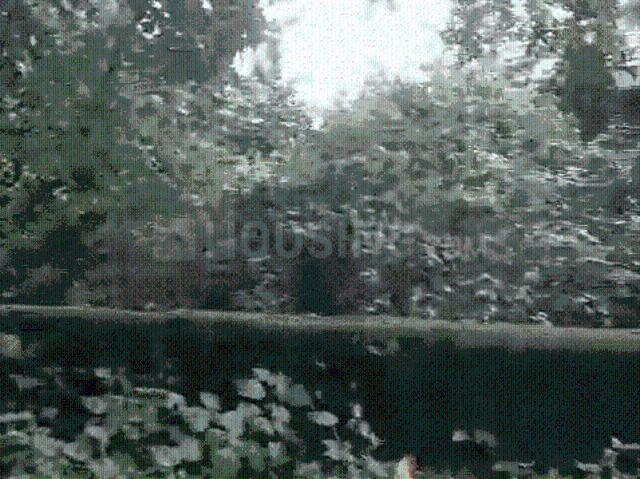 Land for sale in Kanke, Jharkhand