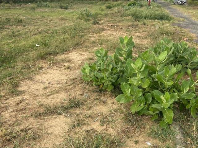 Land for sale in Tora, Arunachal Pradesh