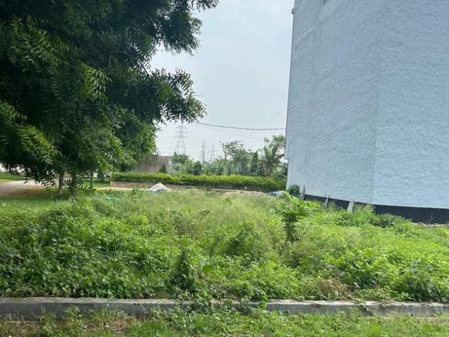 Land for sale in Tora, Arunachal Pradesh