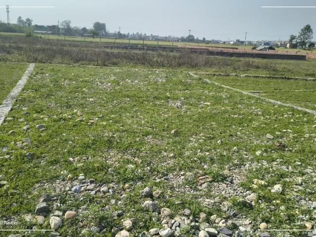 Land for sale in Baronwala, Uttarakhand