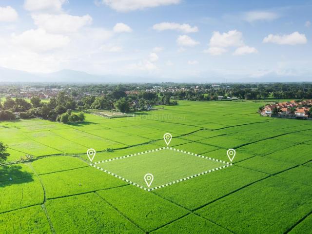 Land for sale in Mathara, Arunachal Pradesh