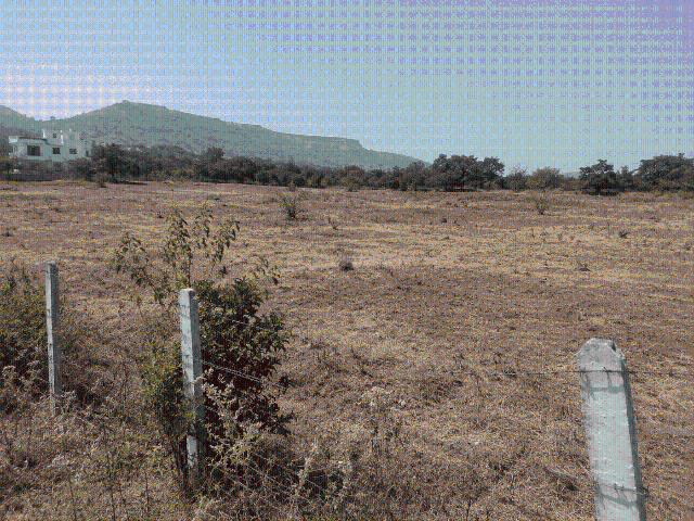 Land for sale in Poona, National Capital Territory Of Delhi