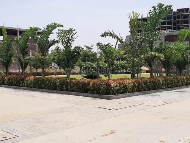 Land for sale in Madya