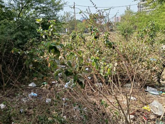 Land for sale in Madya