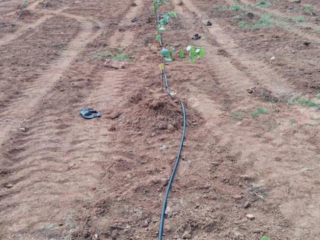 Land for sale in Beeramguda, Sangareddy