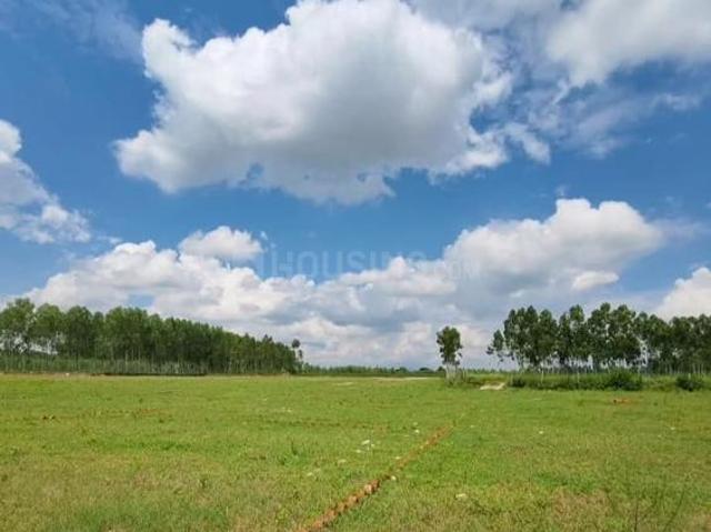 Land for sale in Behat, Saharanpur