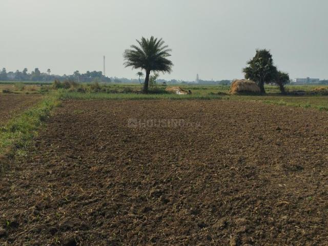 Land for sale in Bihar