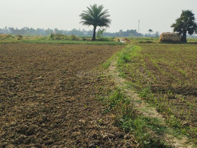 Land for sale in Bihar