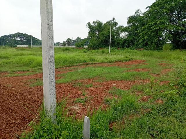 Land for sale in Balianta