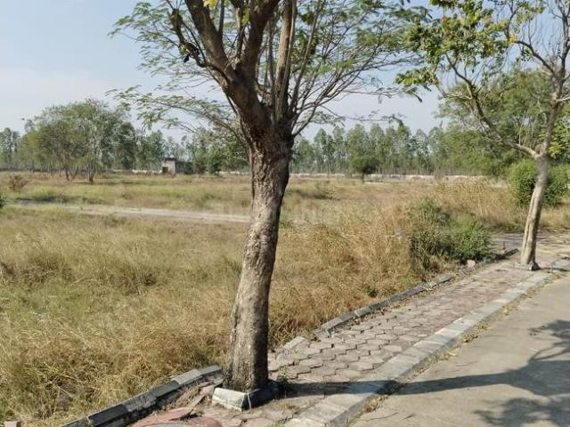 Land for sale in Madya