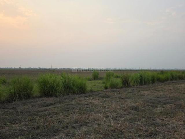 Land for sale in Bihar