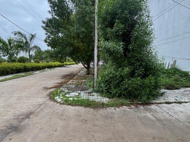 Land for sale in Madya