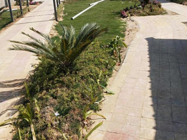 Land for sale in Pink City, Rajasthan