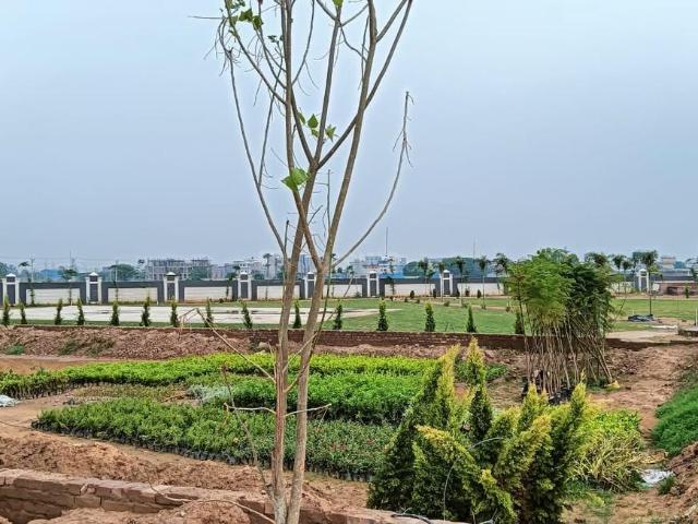 Land for sale in Hariana