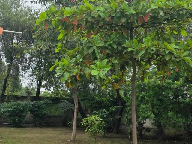 Land for sale in Raipur, Chhattisgarh