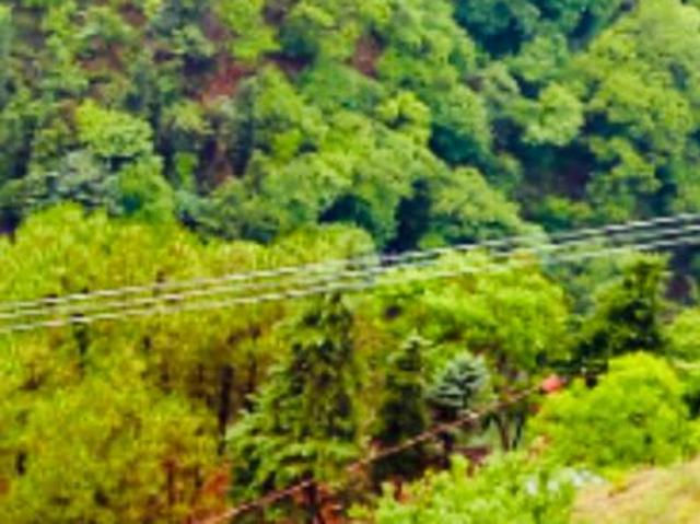 Land for sale in Uttarakhand