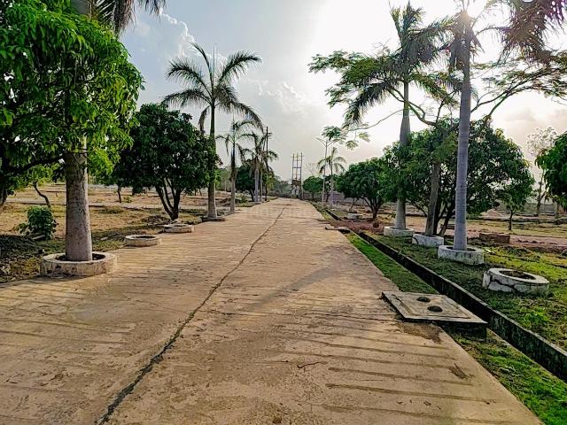 Land for sale in Madya