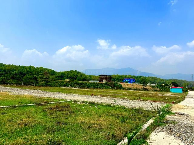 Land for sale in Bhauwala, Uttarakhand