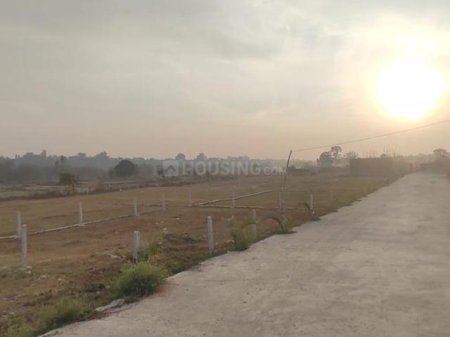 Land for sale in Bhauwala, Uttarakhand