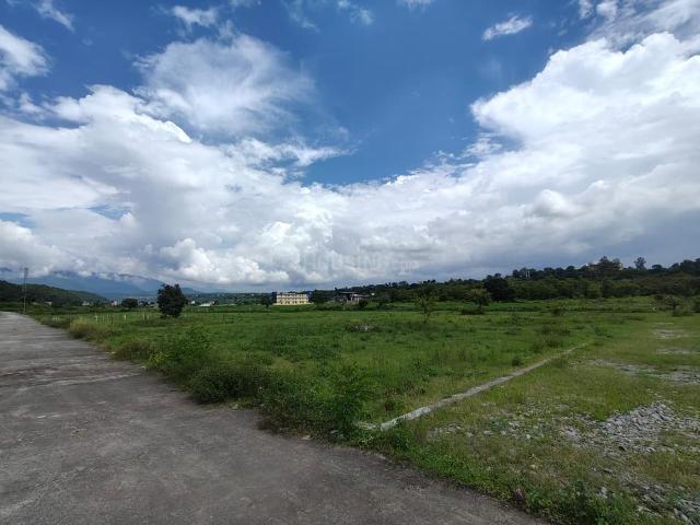 Land for sale in Bhauwala, Uttarakhand