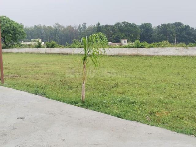Land for sale in Bhauwala, Uttarakhand